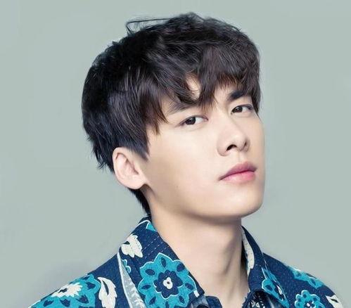 娱乐圈吃瓜李易峰是谁呀,揭秘李易峰的星光之路